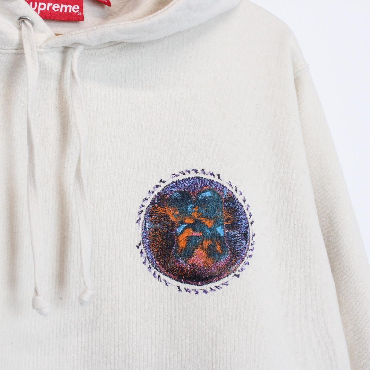 Supreme 2020 Embryo Hoodie Medium
