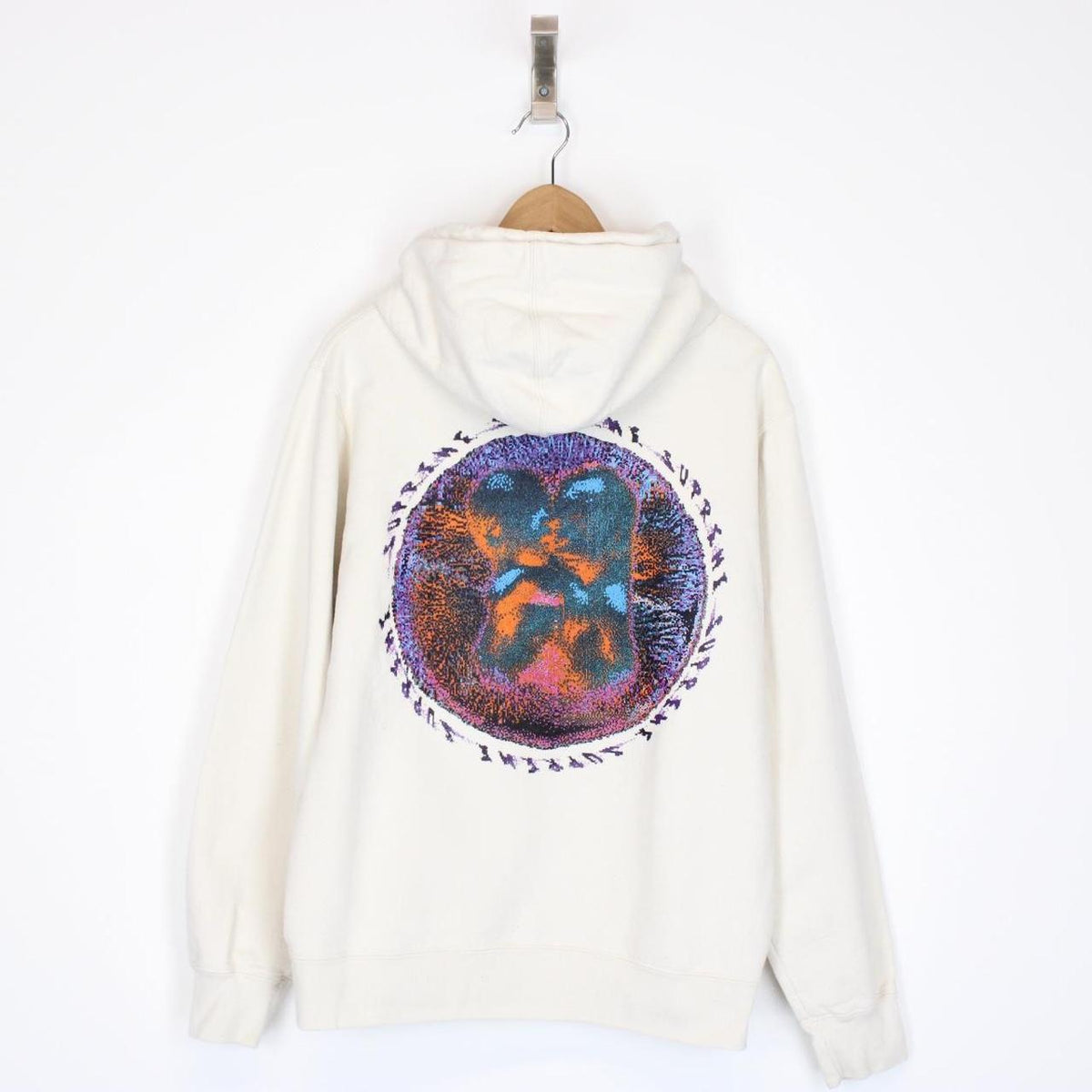 Supreme 2020 Embryo Hoodie Medium