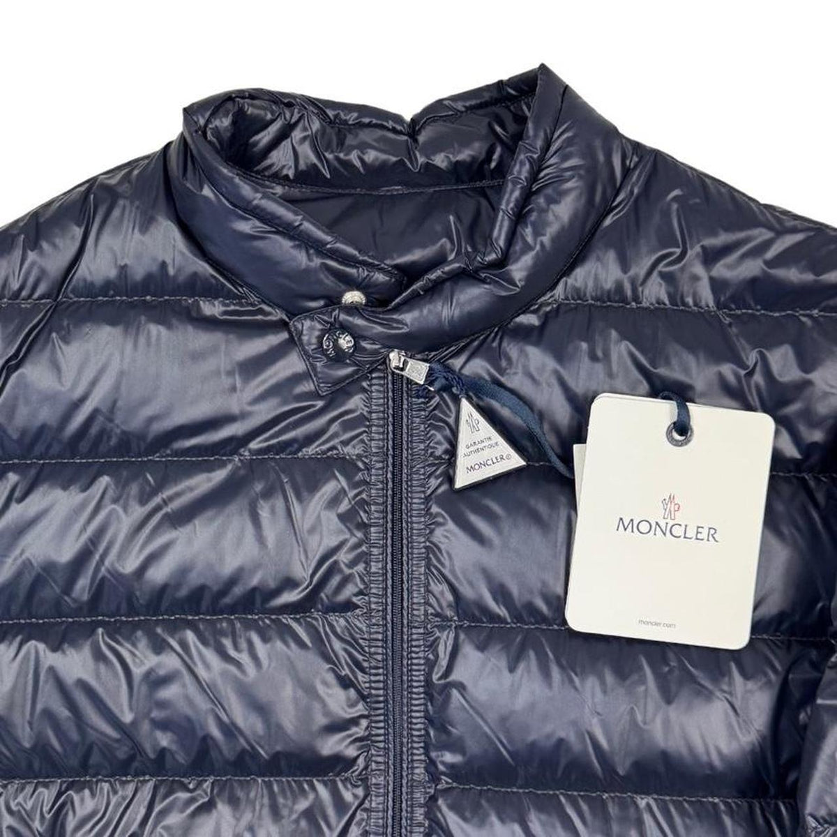 Moncler Acorus Nylon Down Jacket