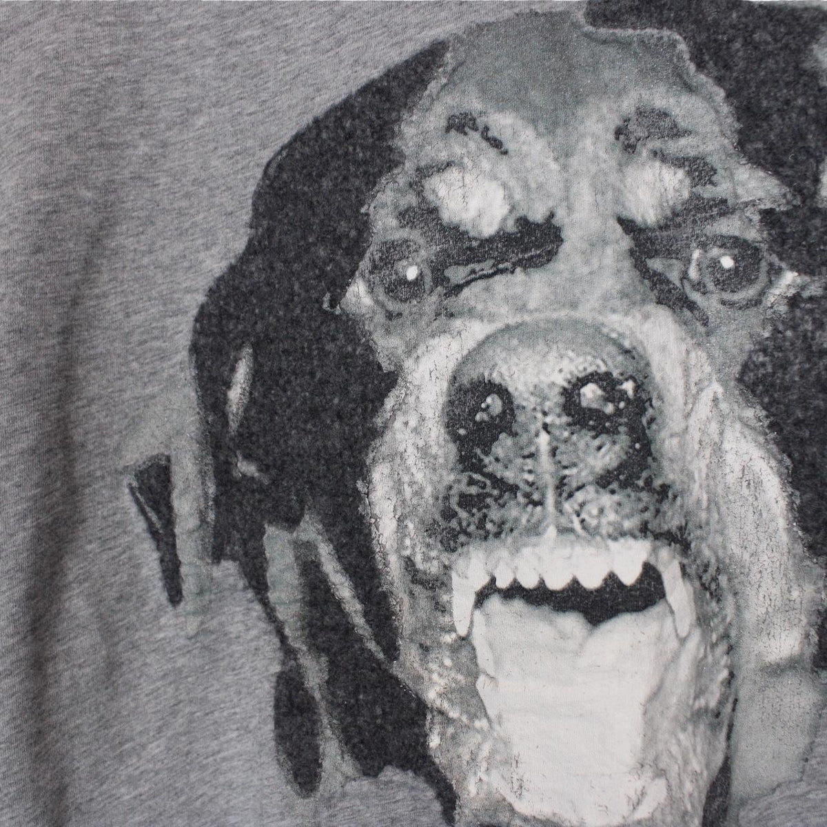 Givenchy Paris Felt Rottweiler Print T-Shirt Large
