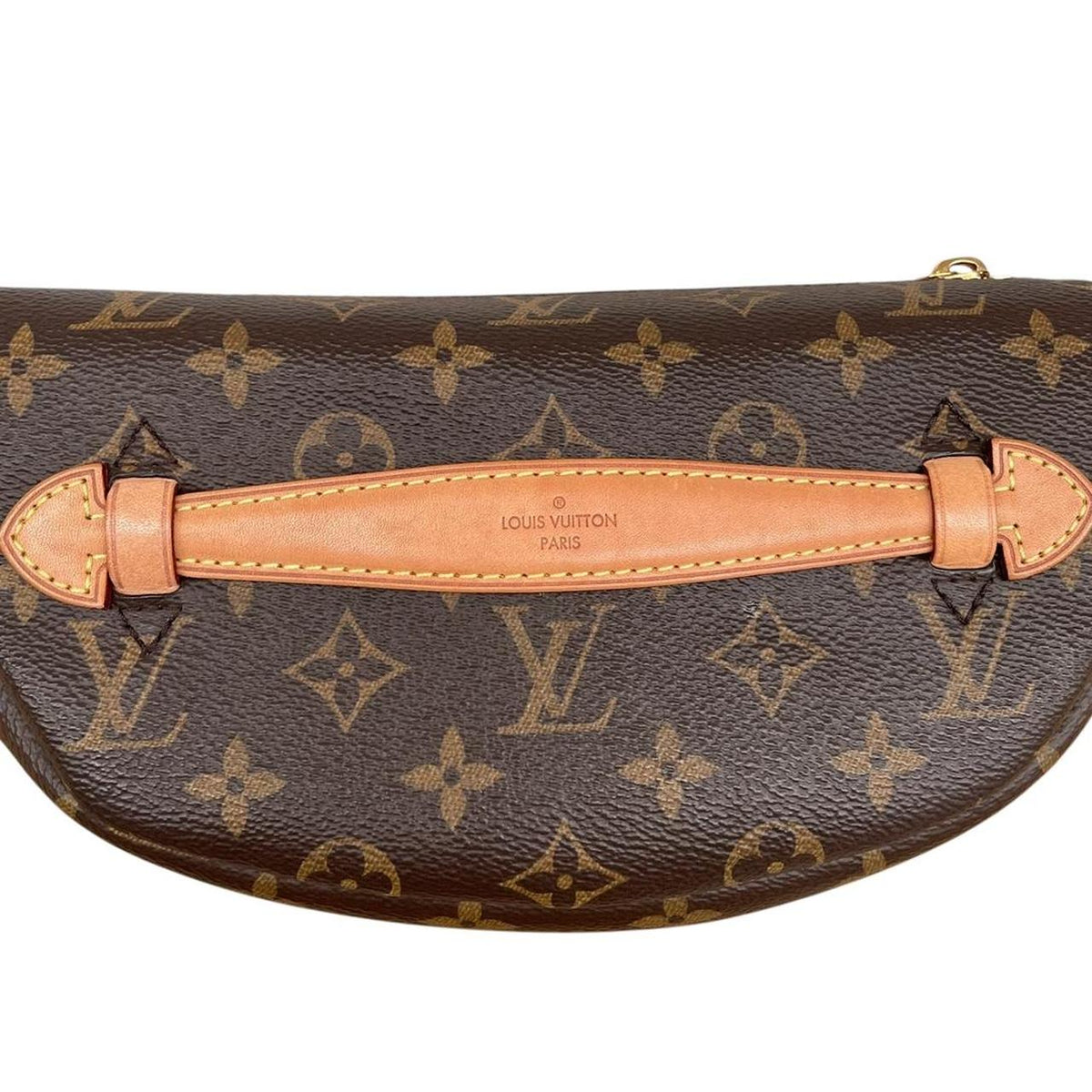 Louis Vuitton 2020 Monogram Coated Canvas Bum Bag
